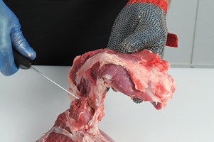 Clod Flat Muscle (Brachialis) Meat Cut Spec Step 4